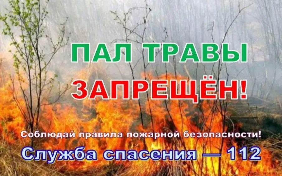 Пал сухой травы запрещен!